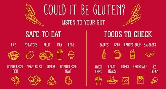  What Is Gluten?