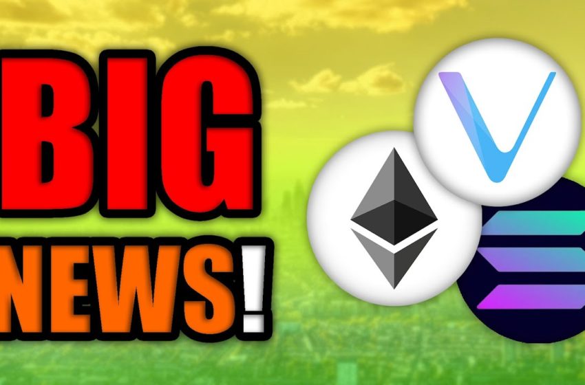  Big Things Are Happening in Cryptocurrency in November 2021! (Solana, Ethereum, & Vechain NEWS)