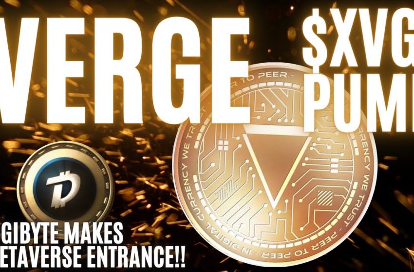  VERGE CRYPTO PRICE PUMP!! Digibyte joins the METAVERSE, and more IDO and NFT news!!