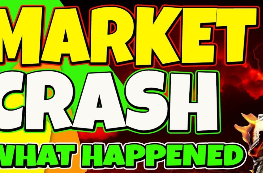  IS THE MARKET CRASHING? WHAT HAPPENED & WHY DID THE MARKET PULL BACK?