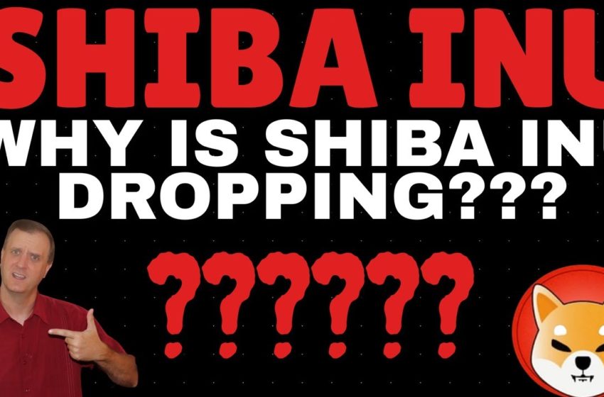  WHY IS SHIBA INU COIN PRICE DROPPING – SHIBA INU COIN PRICE PREDICTION – ETHEREUM PRICE PREDICTION