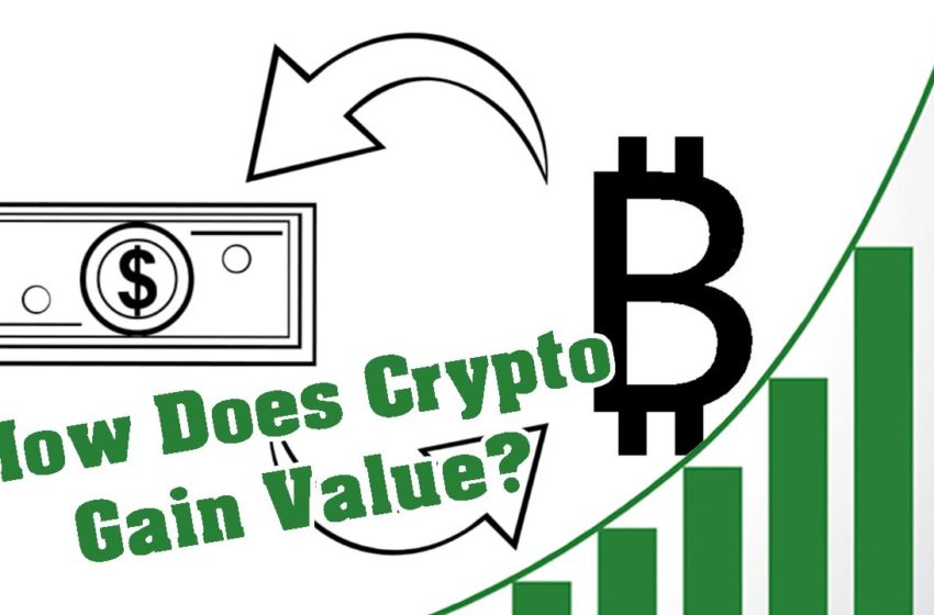  How Do Cryptocurrencies Work & Gain Value? | Cryptocurrency Explained For Beginners | CP B&W