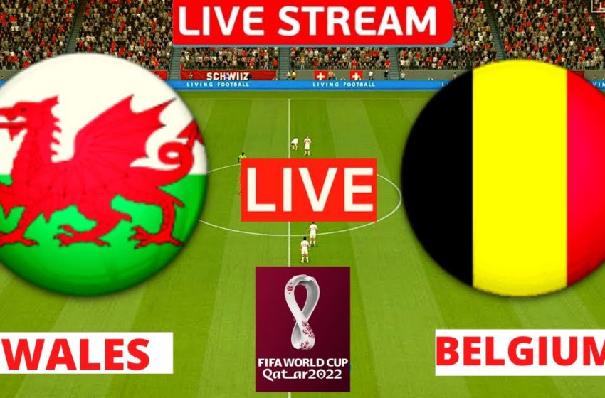  Wales vs Belgium Live Stream World Cup Qualifiers Europe Football Match Today FIFA TV Streaming Vivo