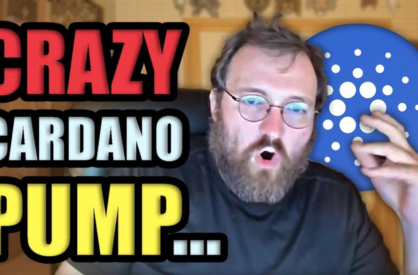  WHY CARDANO IS PUMPING LIKE CRAZY… | Cryptocurrency News