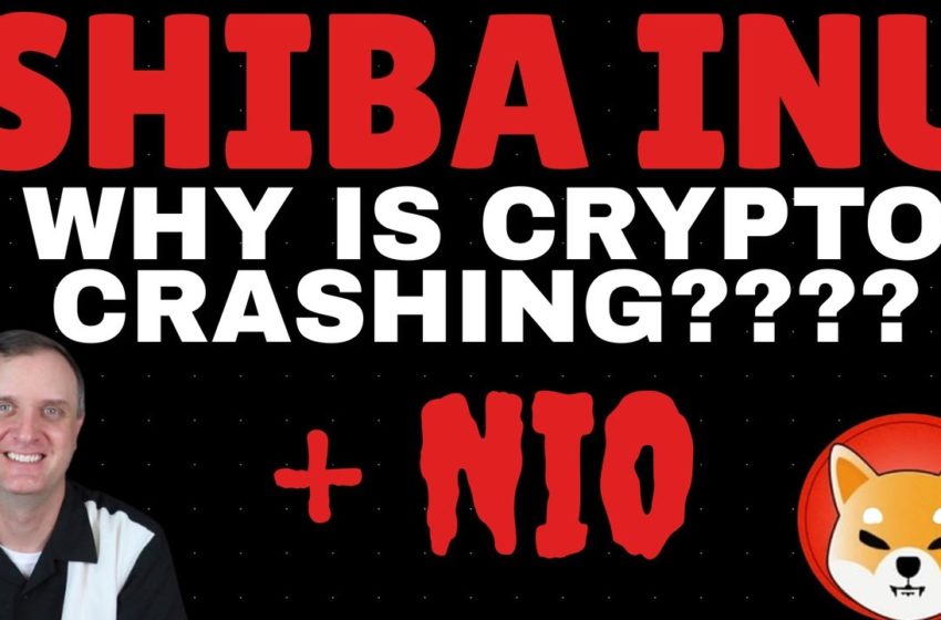  IS THIS THE END OF THE BULL RUN? WHY IS SHIBA INU COIN DROPPING   ETHEREUM COIN PRICE PREDICTION