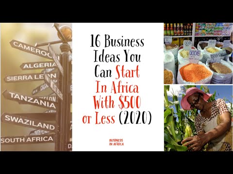  Top 16 Business Ideas You Can Start In Africa With $500 or Less, best business ideas in africa,