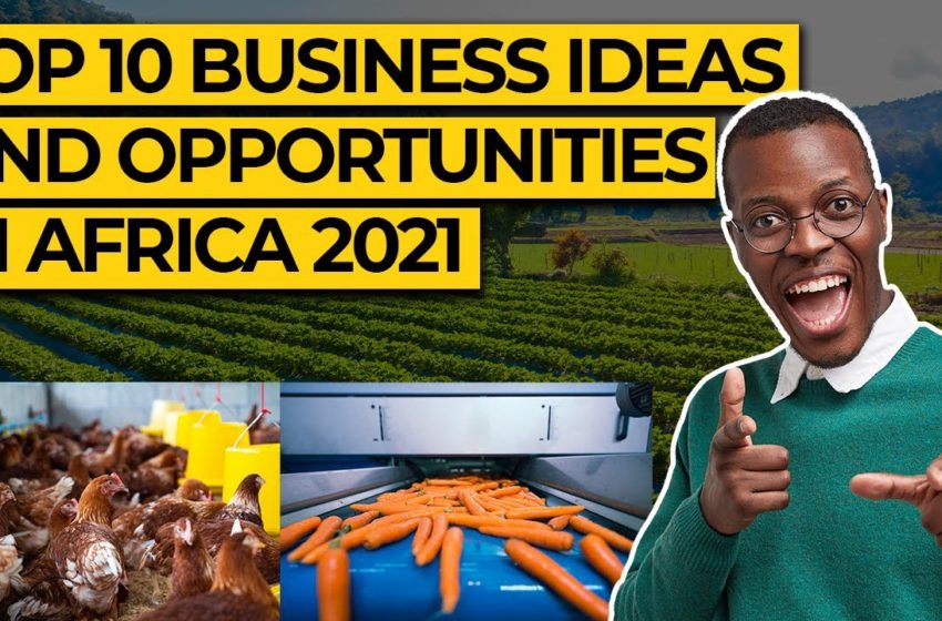  Top 10 Best Business Opportunities And Ideas In Africa 2021