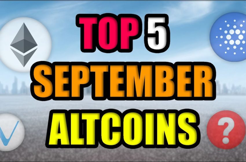  Top Blue Chip Altcoins with Most Potential in September 2021! (Best Cryptocurrency Investments)