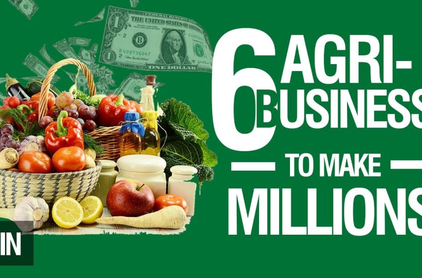  6 Profitable Agriculture Business Ideas to start in Africa that would make you a millionaire in 2022