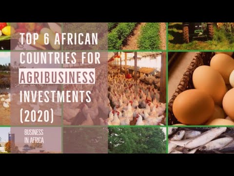  Top 6 Best Agriculture countries in Africa, Top 6 Best Business Ideas in Africa (2020)