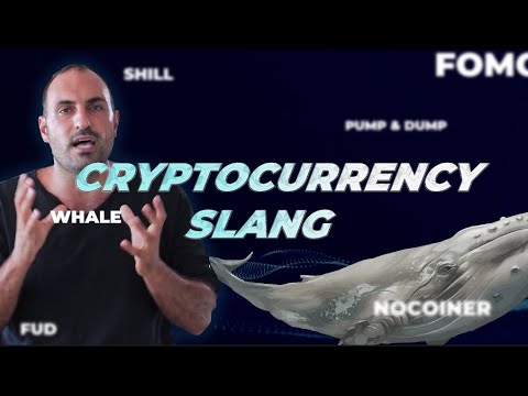 cryptocurrency slang terms