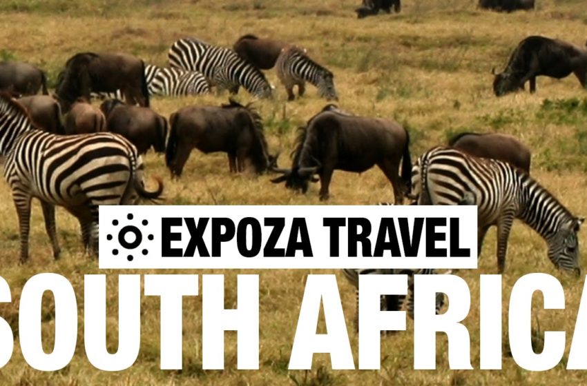  South Africa Vacation Travel Video Guide • Great Destinations