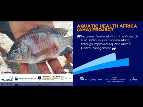  UG MAFS – Aquatic Health Africa (AHA) Project – Inception Workshop – Day 1