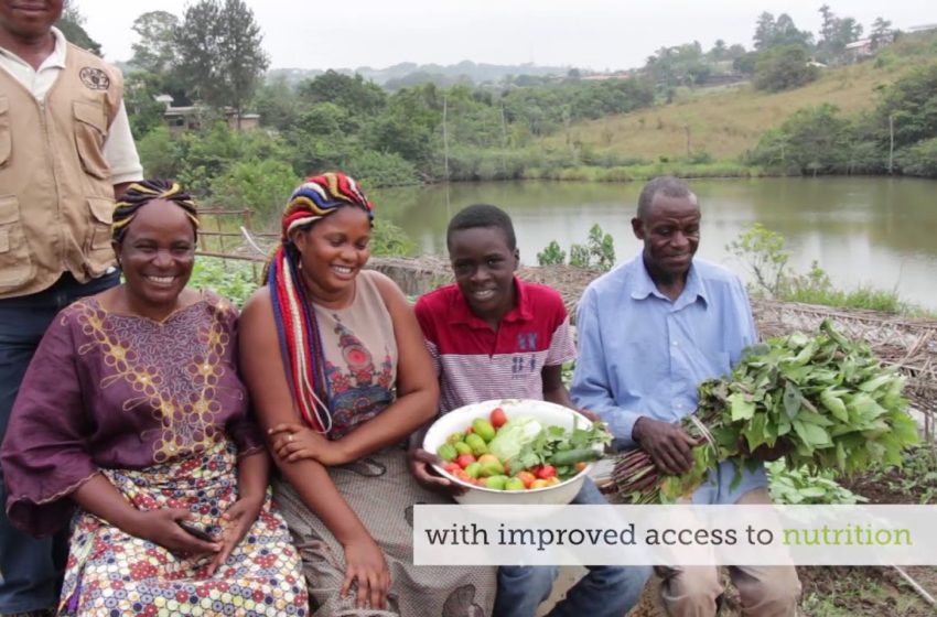  Improving urban food security in Central Africa