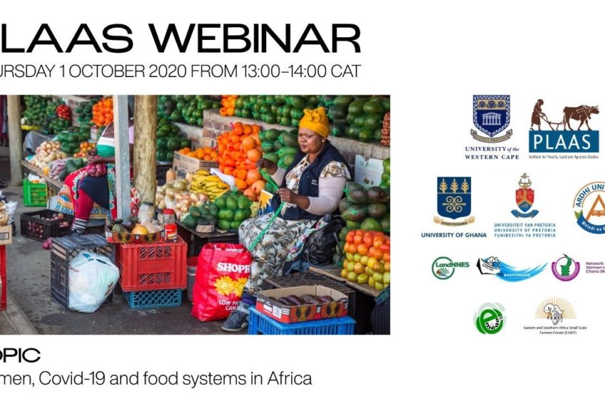  Women, Covid-19 and food systems in Africa