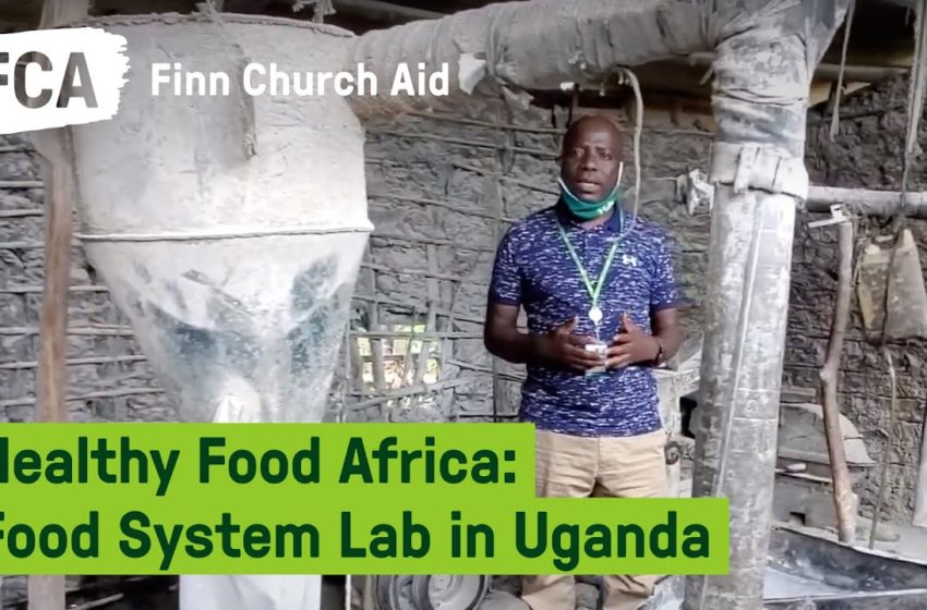  Healthy Food Africa: FCA's Food System Lab in Uganda