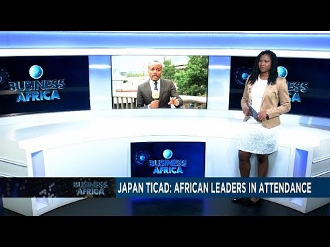  TICAD 7: Japan reviews its cooperation with Africa [Business africa]