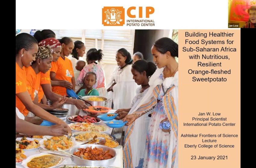  Building Healthier Food Systems for Sub-Saharan Africa With Nutritious, Resilient Sweet Potato