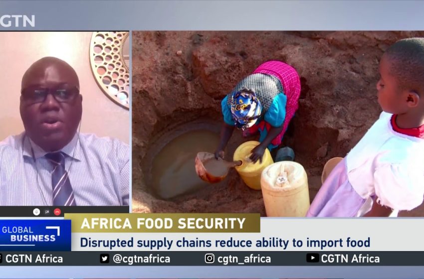 Africa food security: Covid-19 intensifies warnings on broken food system