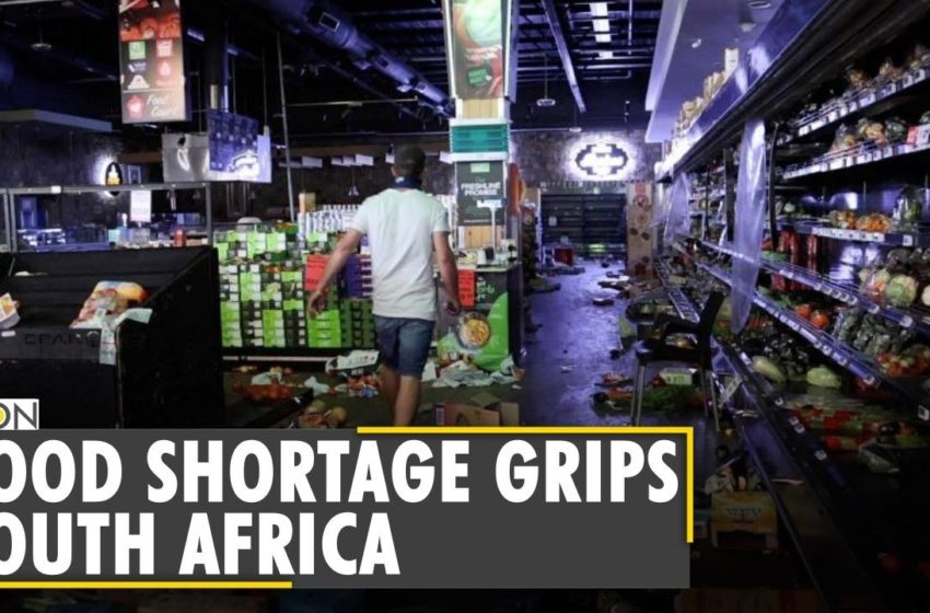  South Africa: Worry over food shortage after week of rioting | Latest World English News | WION News