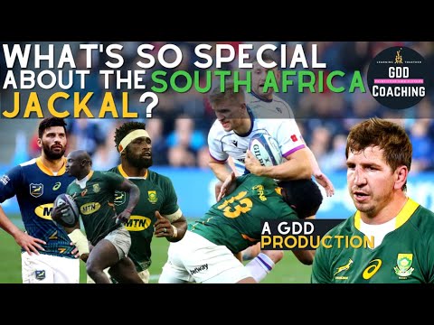  What’s So Special About The South Africa Jackal? | South Africa v Wales & Scotland | Rugby Analysis