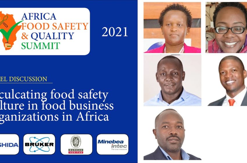  Panel Discussion: Inculcating Food Safety Culture in Africa's Food Businesses in Africa