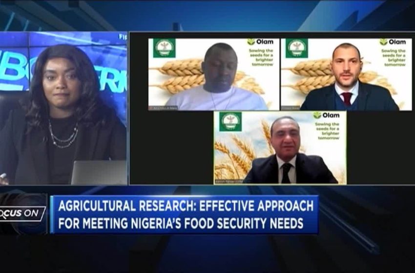  Agricultural Research: Meeting Nigeria’s food security needs