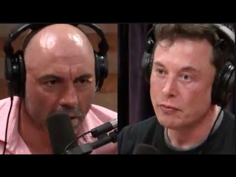  Joe Rogan – Elon Musk on Artificial Intelligence