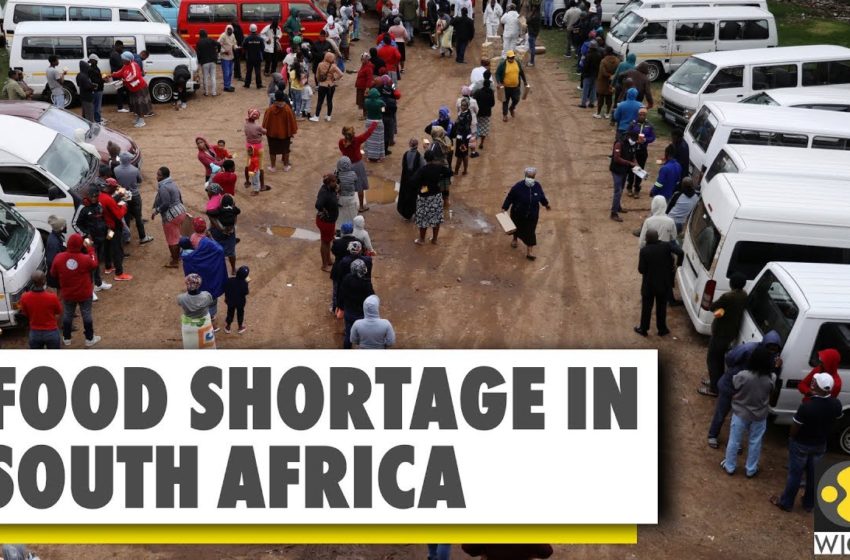  4 km-long queue for food parcels in South Africa | World News | WION News