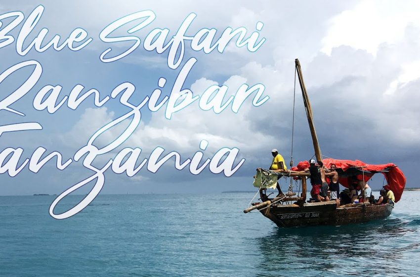  Travel Africa!! Stunning Indian Ocean Island Zanzibar, Tanzania! / 힐링 영상