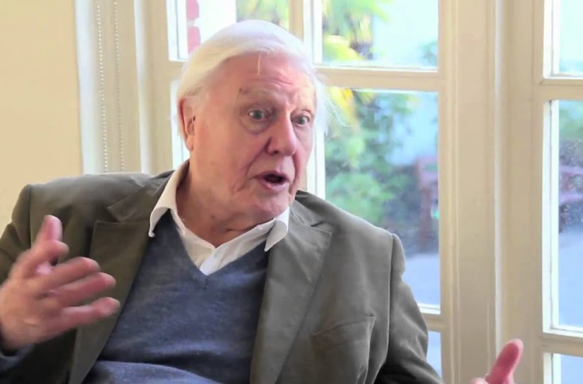  Travel Africa interview with Sir David Attenborough
