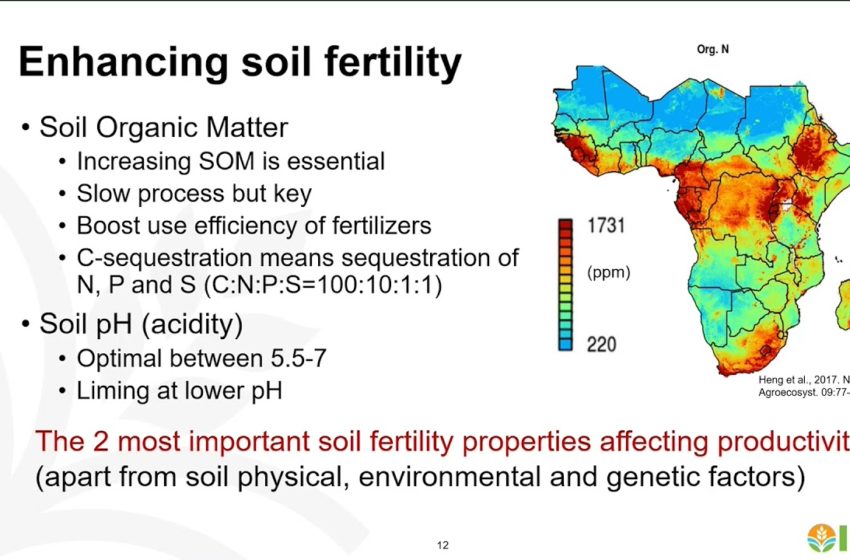  A Food Systems Approach to Transforming Africa's Soil Health