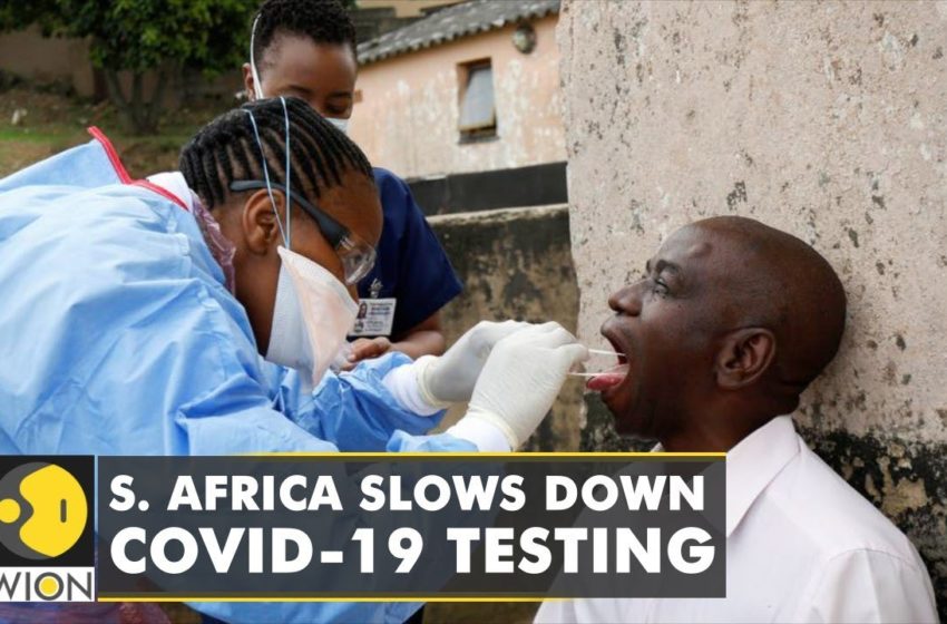  South Africa: Daily cases reduce as COVID-19 testing goes down | Omicron Variant | WION English News