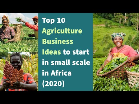  Top 10 Agriculture Business Ideas to start in small scale in Africa (2020), Best Business ideas