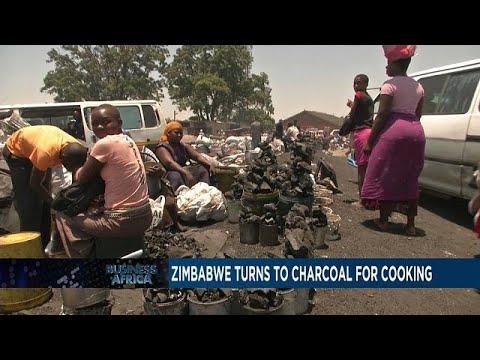  Zimbabwe : ruée vers le charbon de bois [Business Africa]
