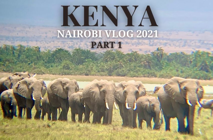  KENYA AFRICA: NAIROBI TRAVEL VLOG 2021- Nai Nami, Kibera, Amboseli Safari, Tips During COVID PART 1!