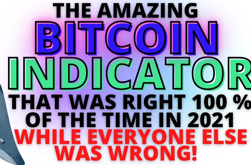 BTC Crypto News: The Amazing Bitcoin Indicator that was Right 100 % of the Time in 2021