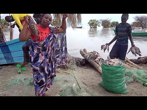  Village Food in Africa||Selling Most Popular Food at the Lake Side