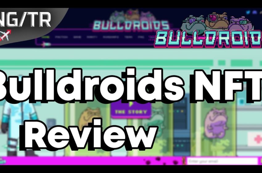  Bulldroids: next 100x Play to Earn NFT Project!