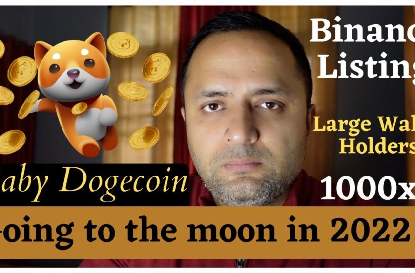  Why will Baby DogeCoin make you Millionaire in 2022 | Meme Token | Cryptocurrency