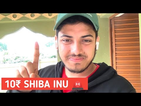  The future of Shiba INU | What is next in Shiba INU | Cryptocurrency