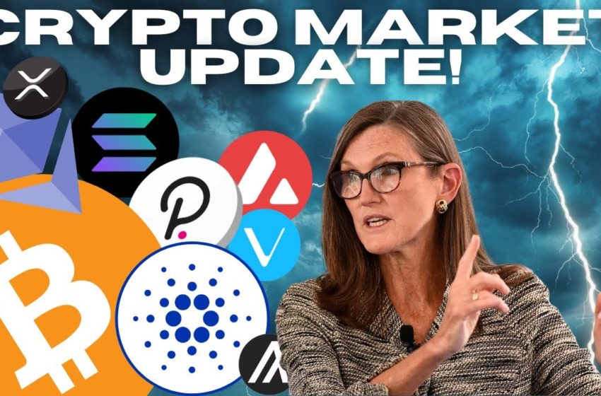  Cryptocurrency Market Update: Crypto, Stocks, Commodities All Sell Off Due To FED Tightening!