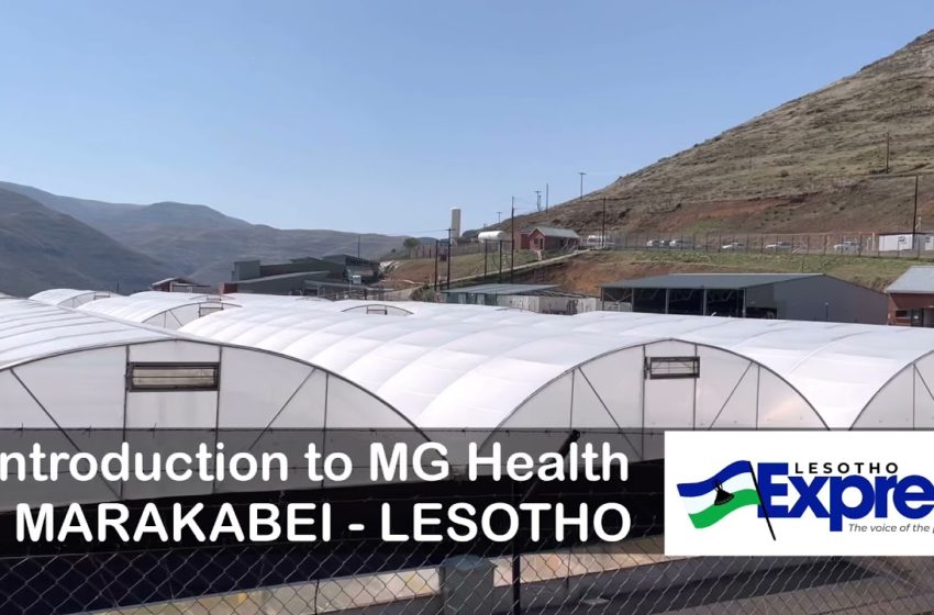  MG Health – Lesotho and Africa’s first cannabis producer to be licenced to export to the EU