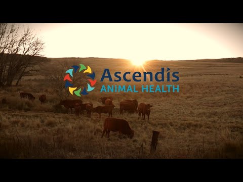  Ascendis Animal Health