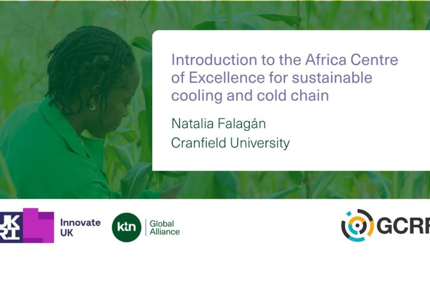  Introduction to the Africa Centre of Excellence for sustainable cooling and cold chain
