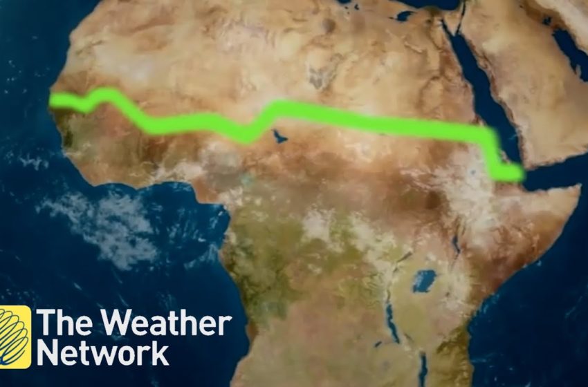  Explained: The controversial plan to build Africa's 'Great Green Wall'