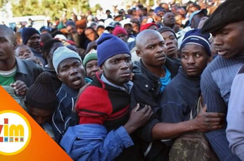  Zim embassy issues statement as anxiety grips Zimbabweans living and working in South Africa