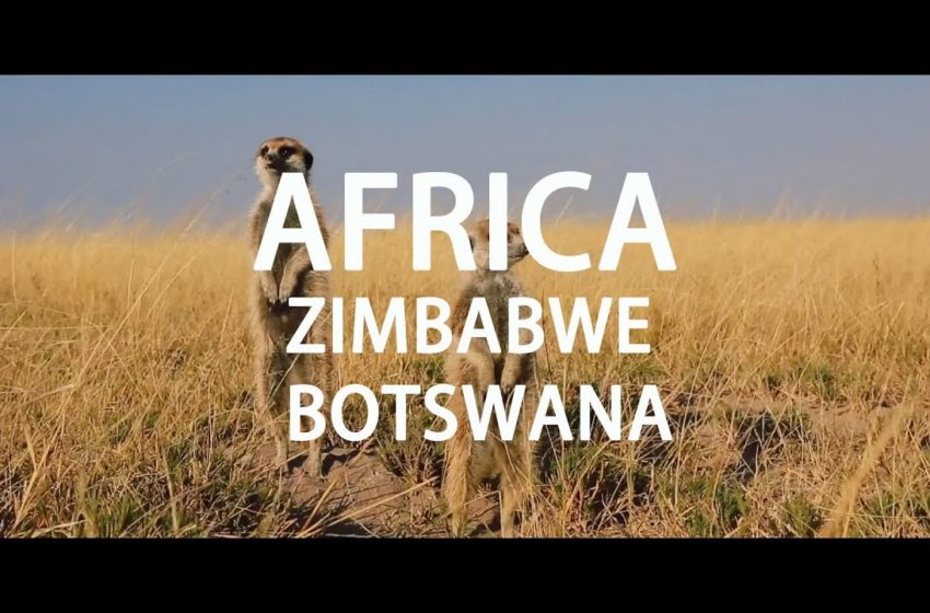  Travel Vlog: Meet Africa Zimbabwe  Botswana_Vlog Africa