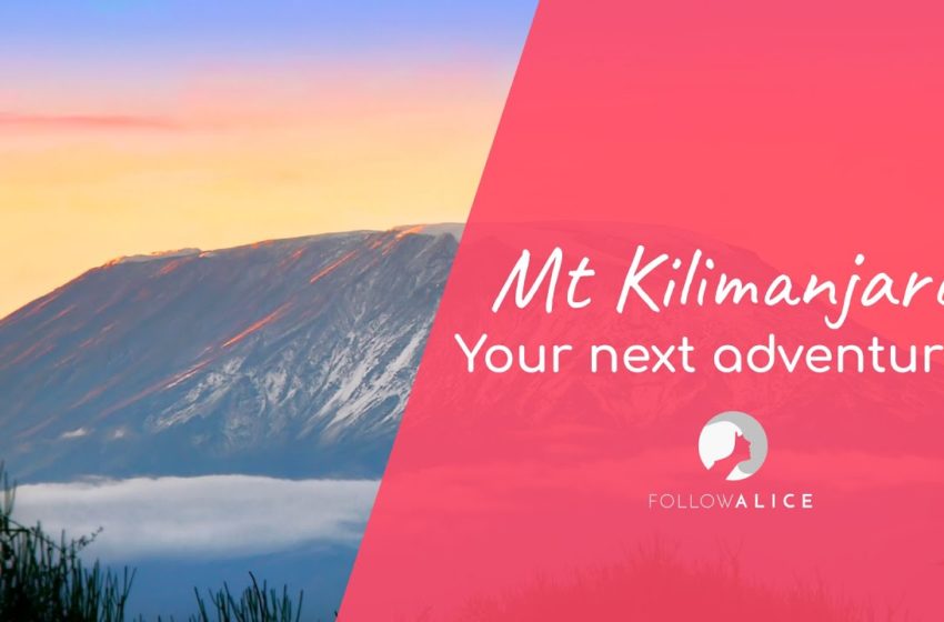  Mt Kilimanjaro | Your next adventure? | Travel Africa