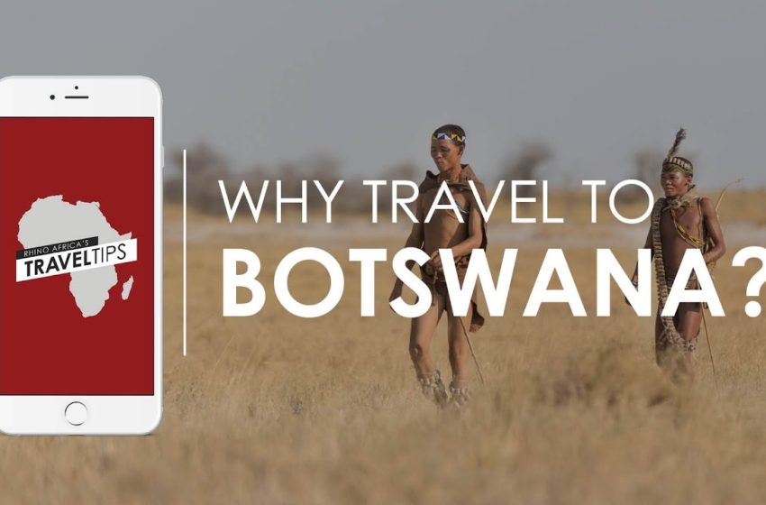  Why travel to Botswana, Africa’s best kept secret? Rhino Africa's Travel Tips